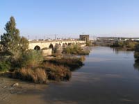 Old Bridge at Cordoba