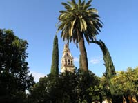 Mosque & Cathedral, Cordoba