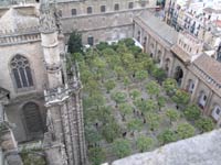 Sevilla Cathedral