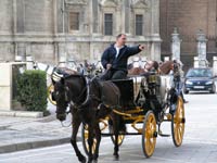 Horse drawn carriage