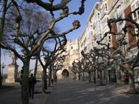 Burgos