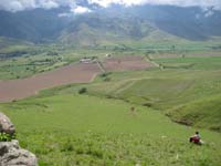 tafi