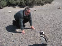 david with penguin