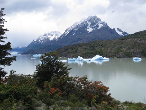 Chile Iceberg on lake in Torres del Paine