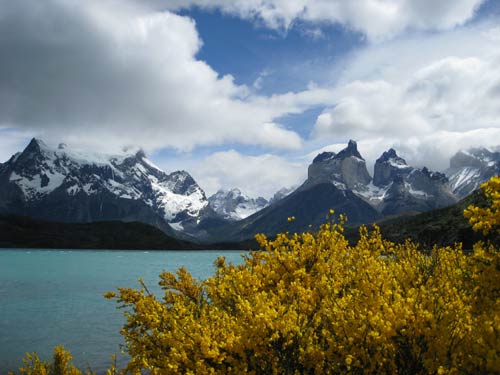 Mountains and flora in Torres del Paine