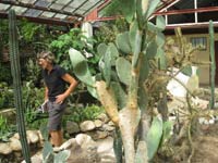 en route from Cienfuegos