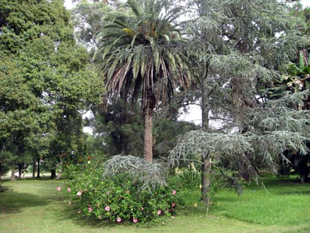 Winery tour at Montevideo