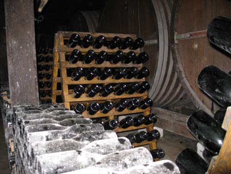 Winery tour at Montevideo