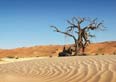 namibib